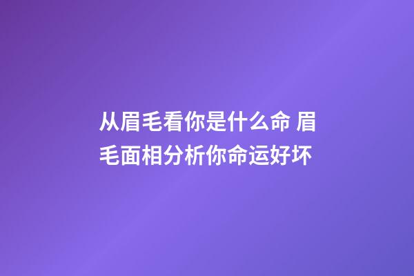 从眉毛看你是什么命 眉毛面相分析你命运好坏
